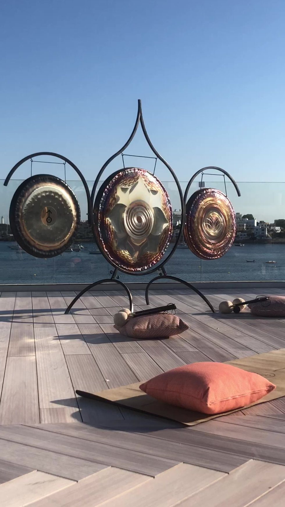 Meditation and wellness